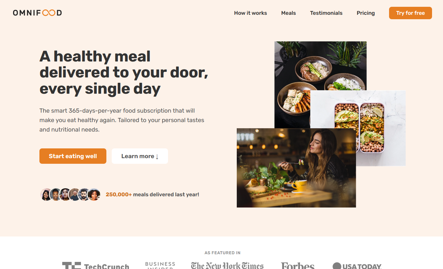 Picture of Omnifood Project that I made